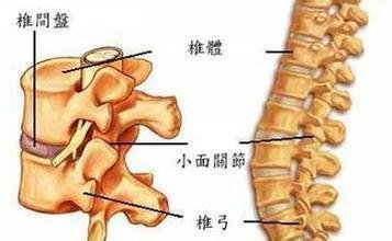 頸椎間盤突出會引起引起手臂麻木和酸脹嗎