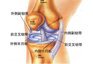 半月板損傷