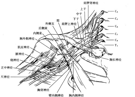 云南中德骨科醫院